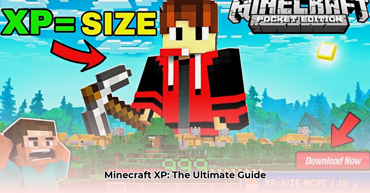 minecraft-download-xp